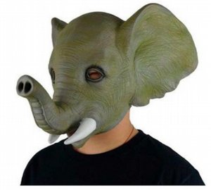 ���� ���� ������ �� ����� ���