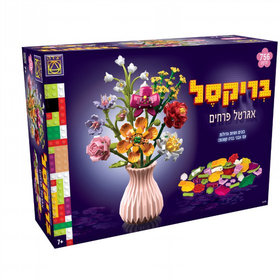 ���� ������ ����� ������ - ����� ����� 11793 ����� �����