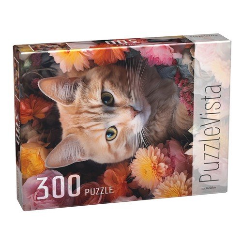 ���� ������ ��� �����