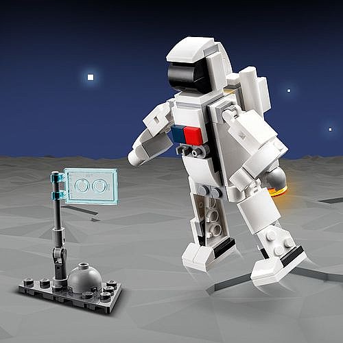��� ������� - ������ ��� 31134 Lego