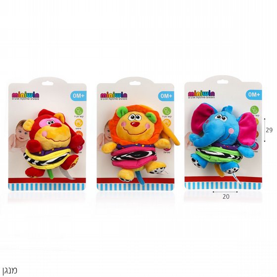 ���� ����� ���� ����