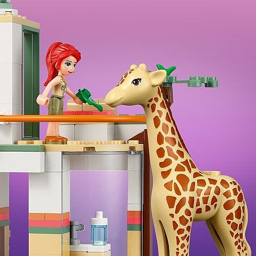 ��� ����� ���� ���� ��� �� ��� 41717 Lego Friends