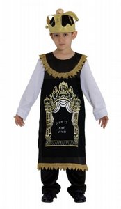 תחפושת ספר תורה תחפושת ספר תורה