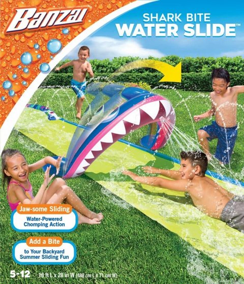 Bonzai ����� ��� ����