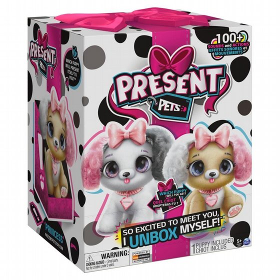 ���� ��� ������ ����������� Present Pets