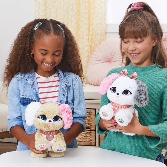 ���� ��� ������ ����������� Present Pets