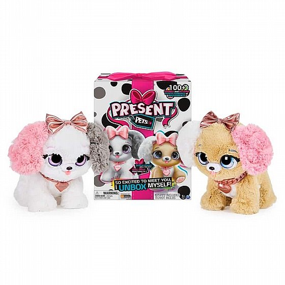 ���� ��� ������ ����������� Present Pets