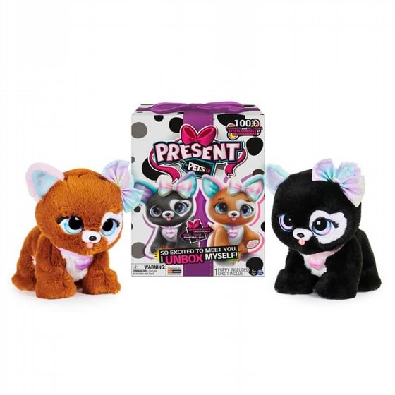 ���� ��� ������ ����������� ������ Present Pets
