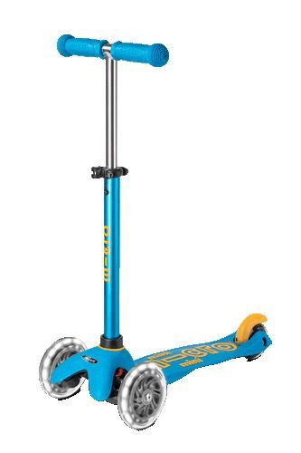 ������� ���� ����� ����� �� ���� ����