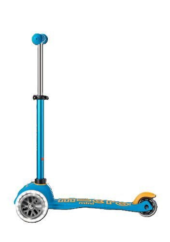 ������� ���� ����� ����� �� ���� ����