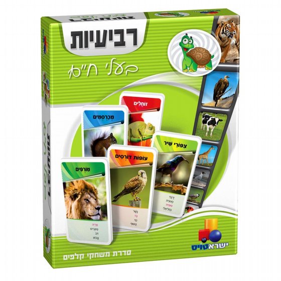 ���� ����� ������� ���� ����