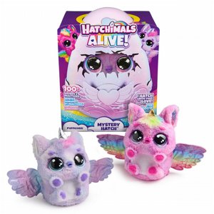 ���'���� �������� ���� �������� Hatchimals