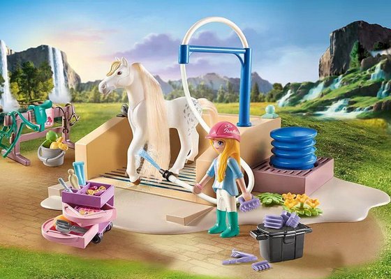 ��������� ���� ������ �����  71354 Playmobil