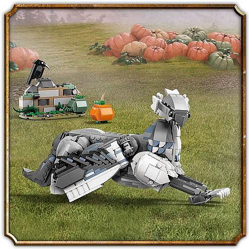 ��� ����� ���� ����� 76427 Lego