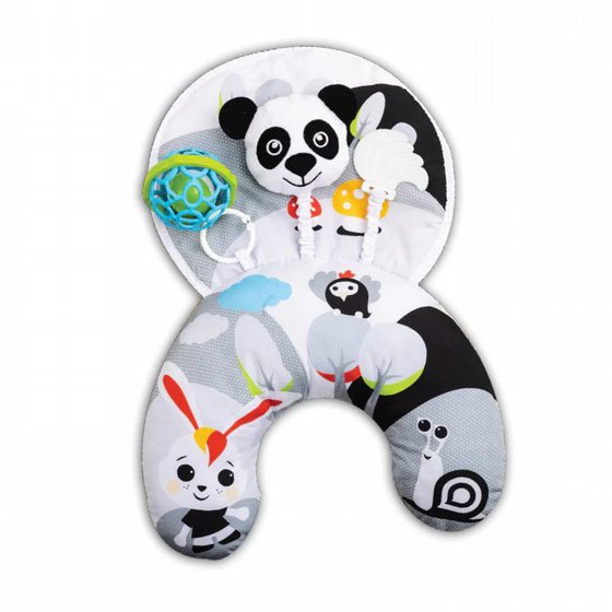 ���� ������ ������ ��� ���� ����