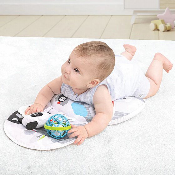 ���� ������ ������ ��� ���� ����