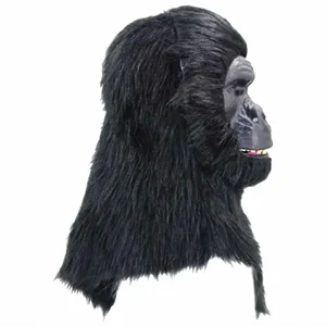  ����  ������  ����� ������ 