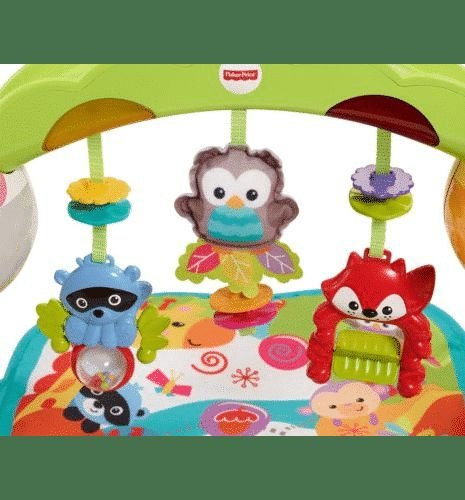 Fisher Price ���� ����� ���������� ������ 3 � 1 ��� CCB70