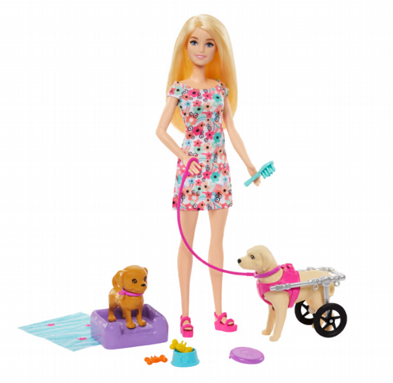 ���� ���� �������� ���� ��� ��� Barbie