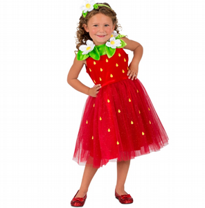 תחפושת תות שדה מהודרת של חברת רוביס תחפושת תות שדה מהודרת של חברת רוביס